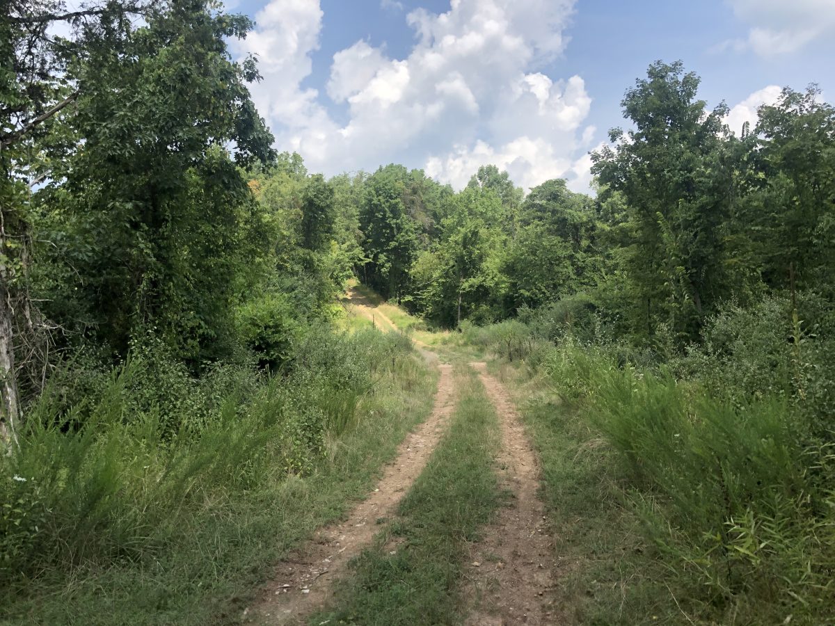 Gas well access road on Legg Fork Tract